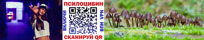 Купить где  Маркс  Галлюциногенные грибы прущие грибы 